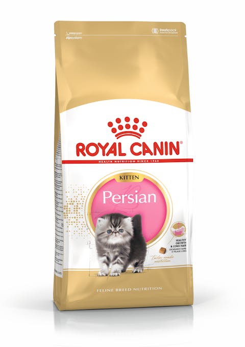 Royal Canin Persian Kitten