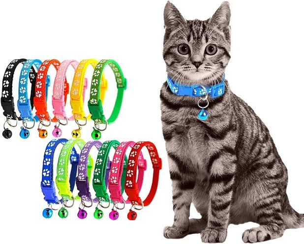 Cat Multi Collars