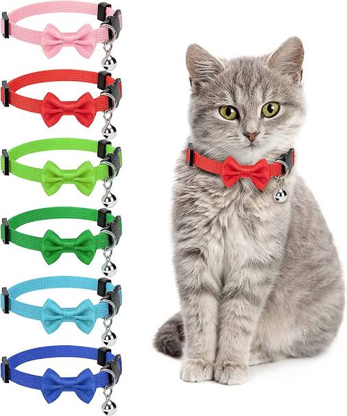 Dotted Bow Collar