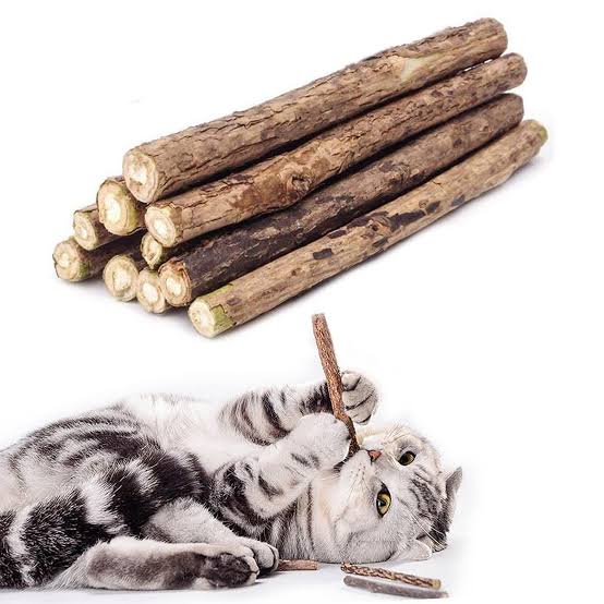 Cat Nip Sticks 10 pcs t035l