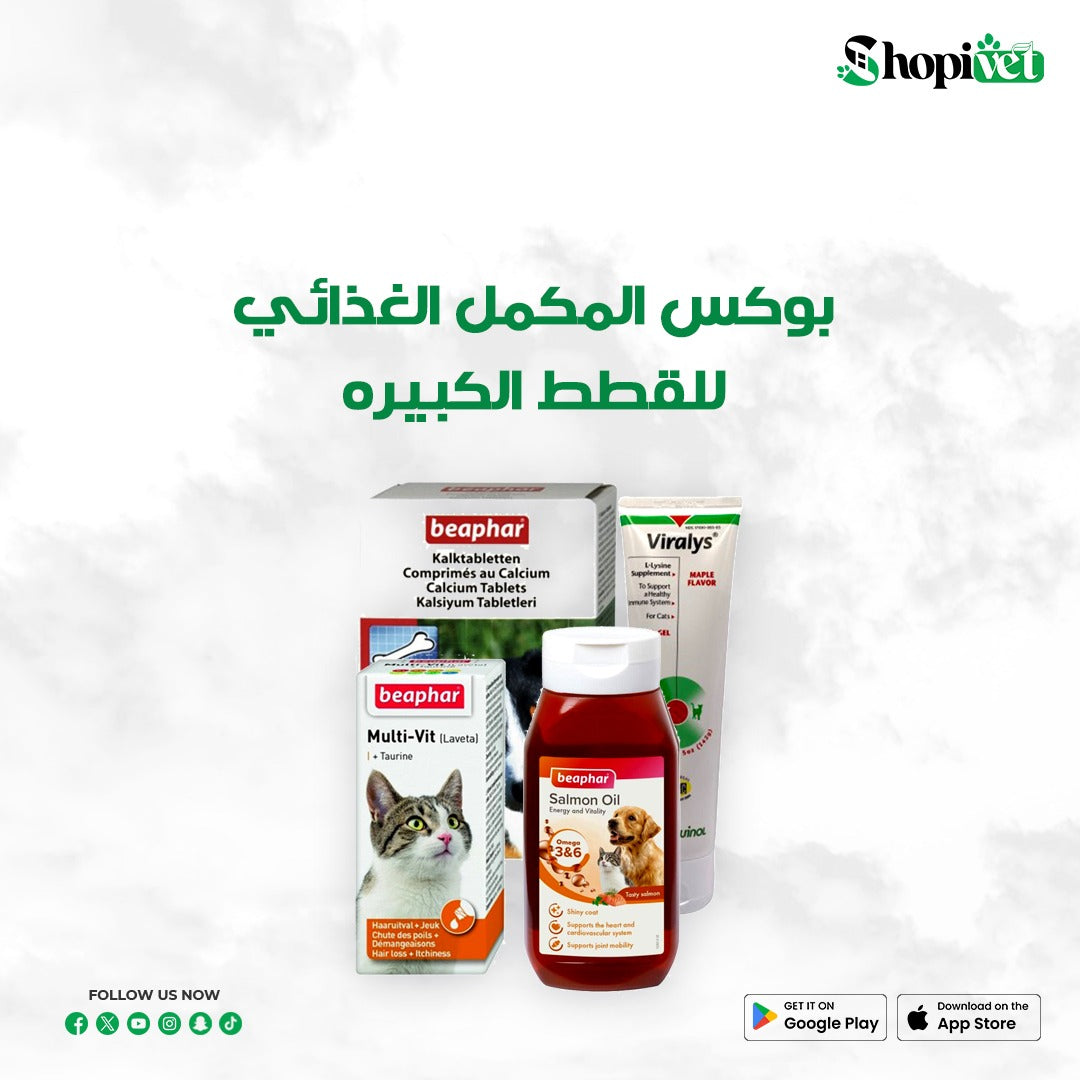 Box of nutritional supplements for adult cats