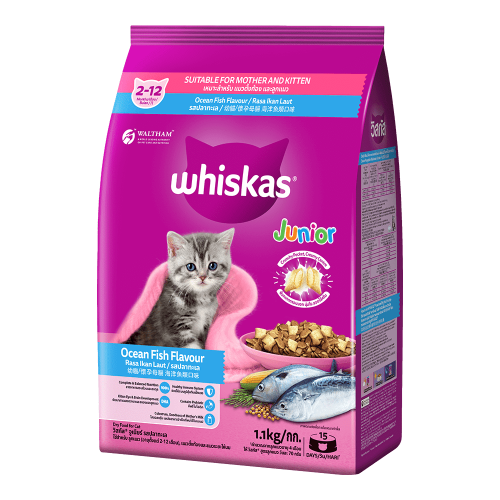 Whiskas Junior 2-12 Month Dry Cat Food-Ocean Fish Flavour (1.1kg)