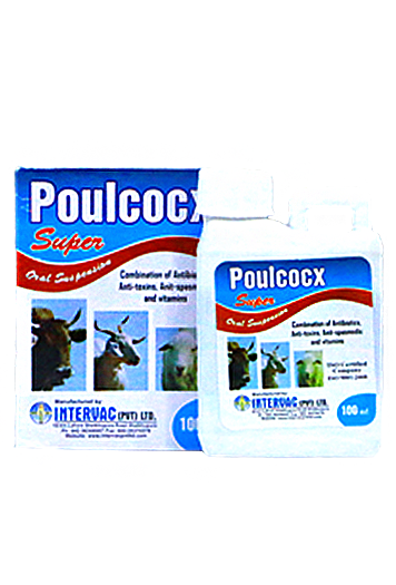 POULCOCX SUPER