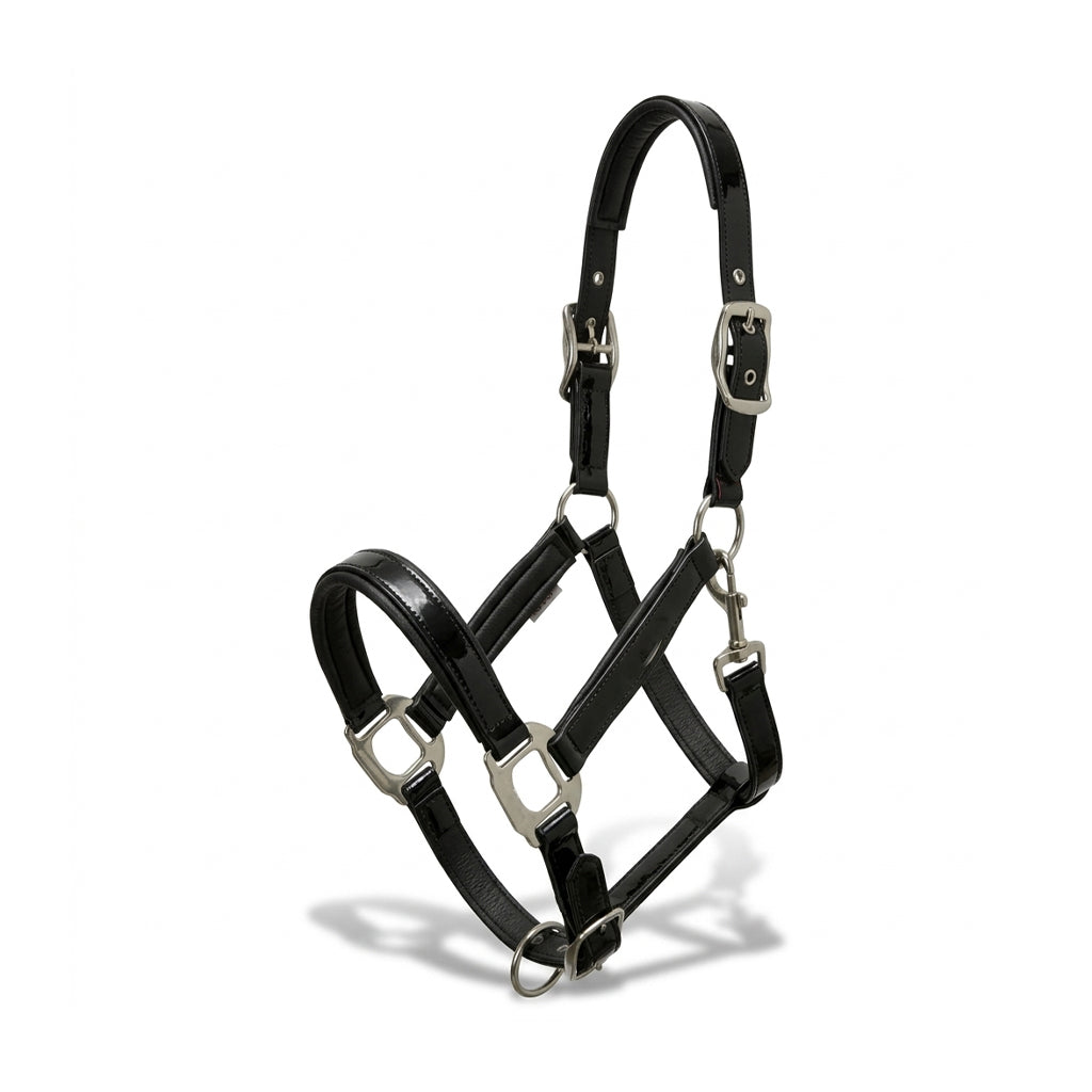 Xylo Biothene Halter – Durable & Easy-Care Horse Headcollar