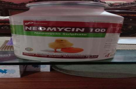 Neomycin 100
