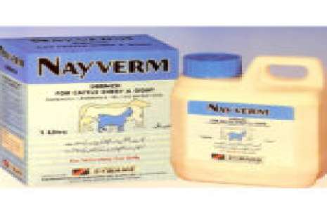 Nayverm – Drench