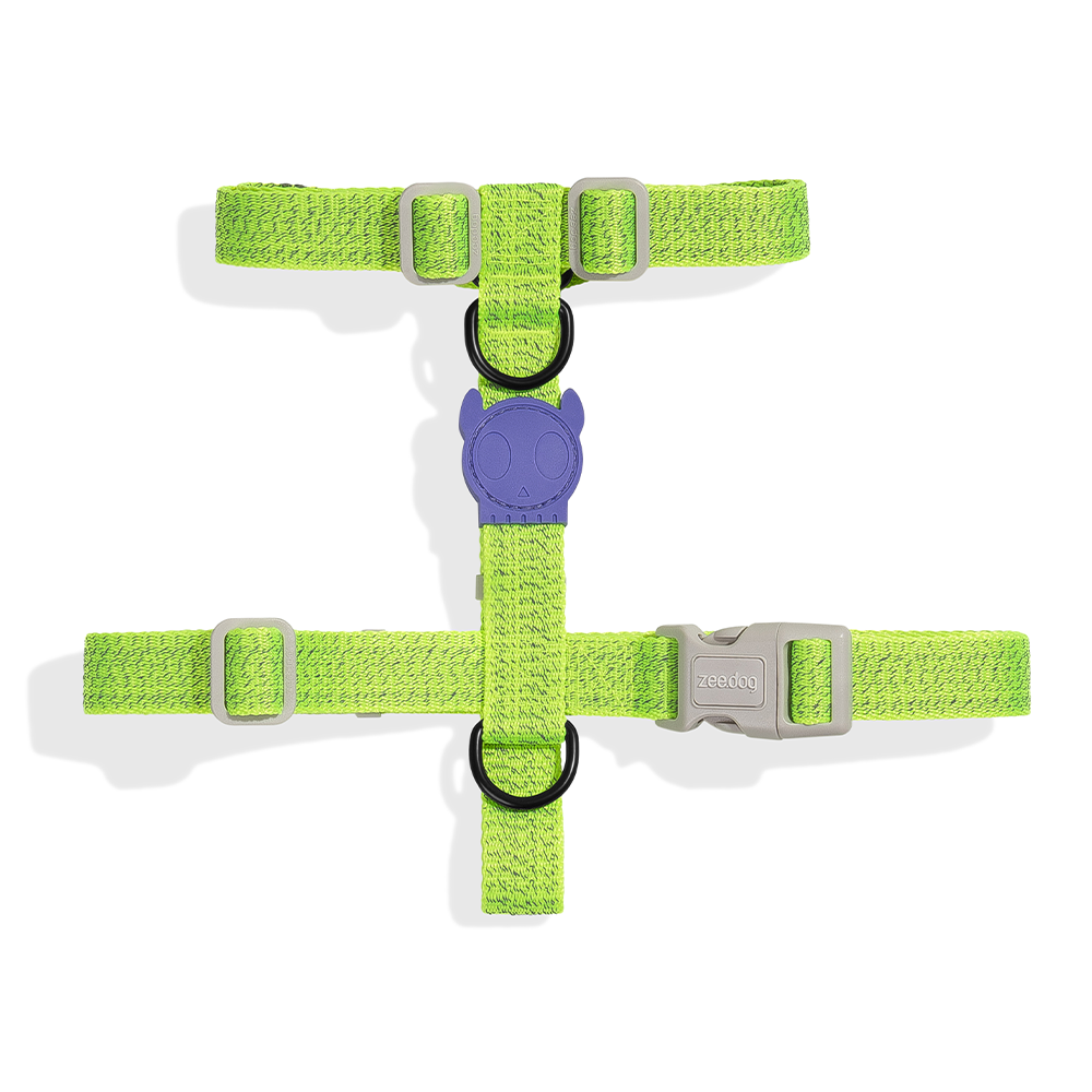 ZEE.DOG Nox Lumen Reflective H-Harness