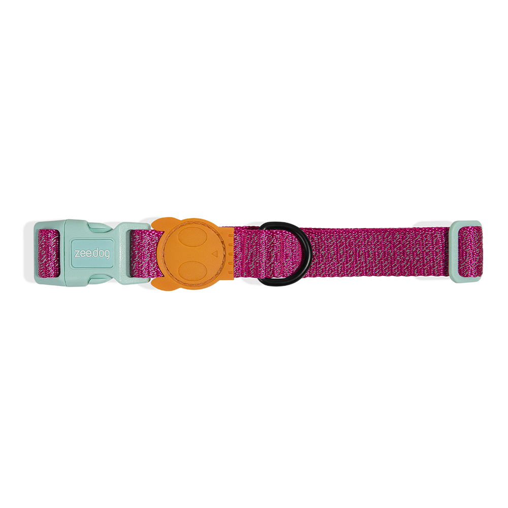 ZEE.DOG Nox Sidus Reflective Collar
