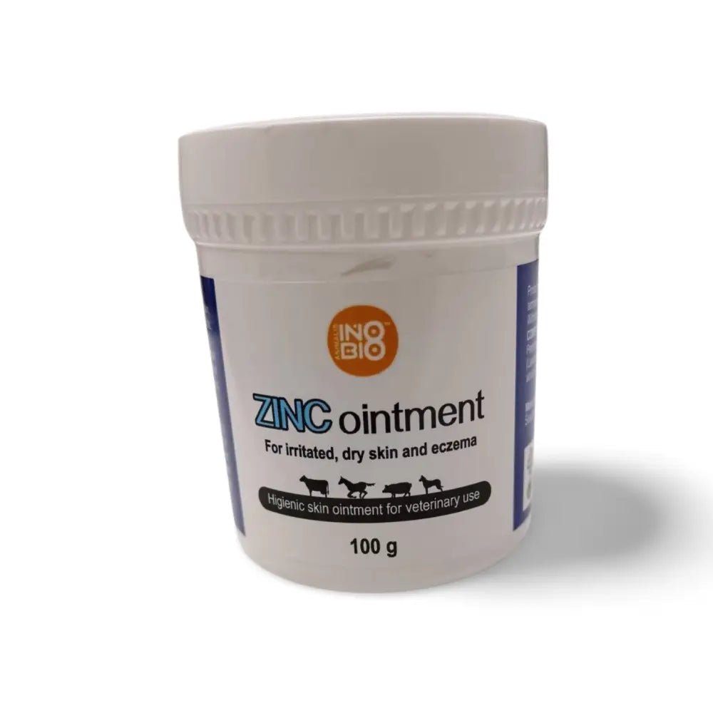 Zinc Ointment – 100g