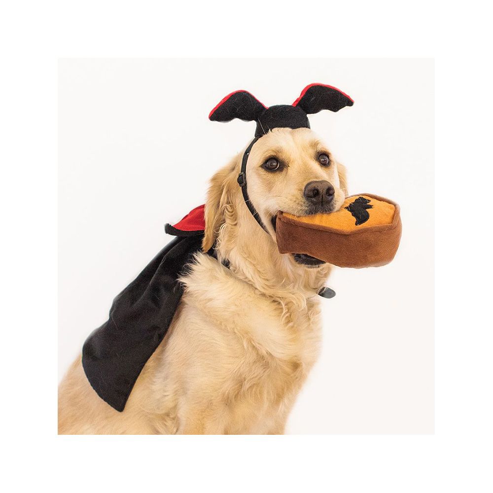 ZippyPaws Halloween Dracula Costume for Dogs