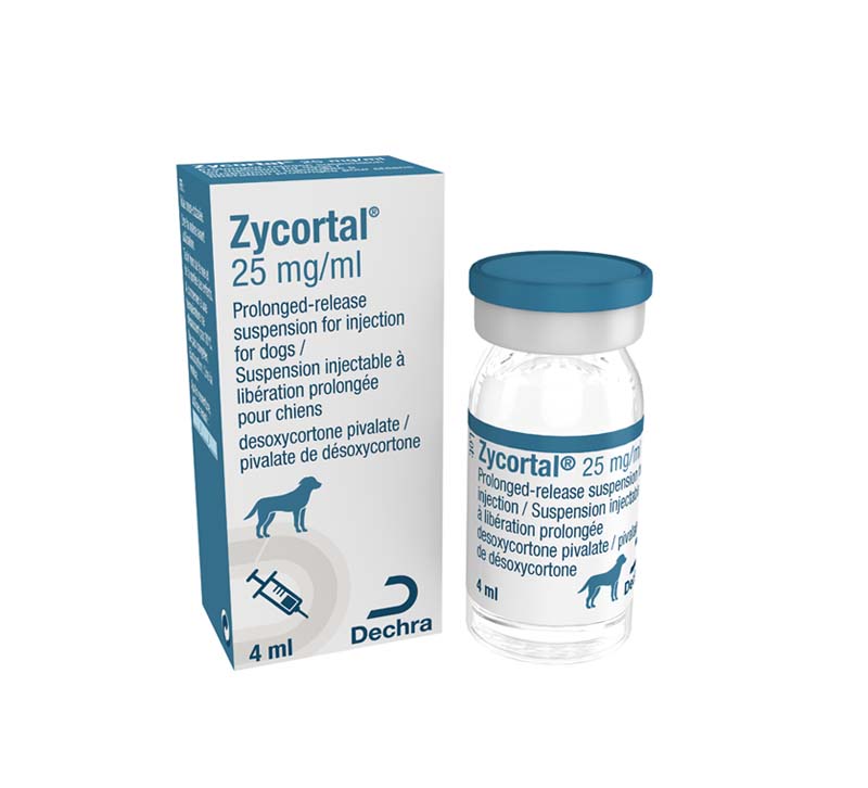 Zycortal® Suspension (desoxycortone pivalate) 4 ml