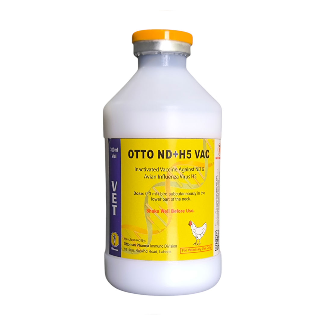 OTTO ND+H5