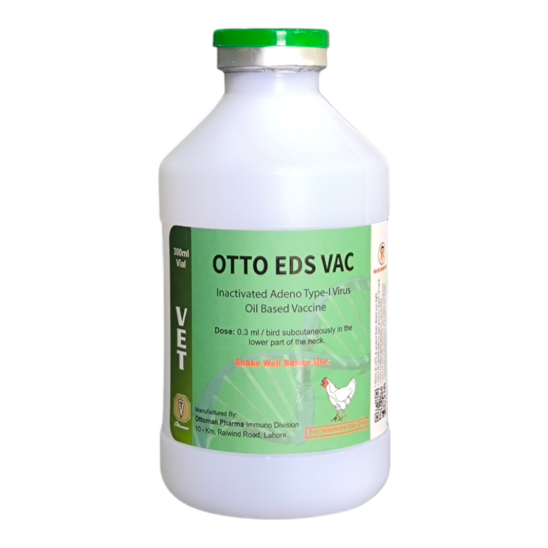 OTTO EDS VAC