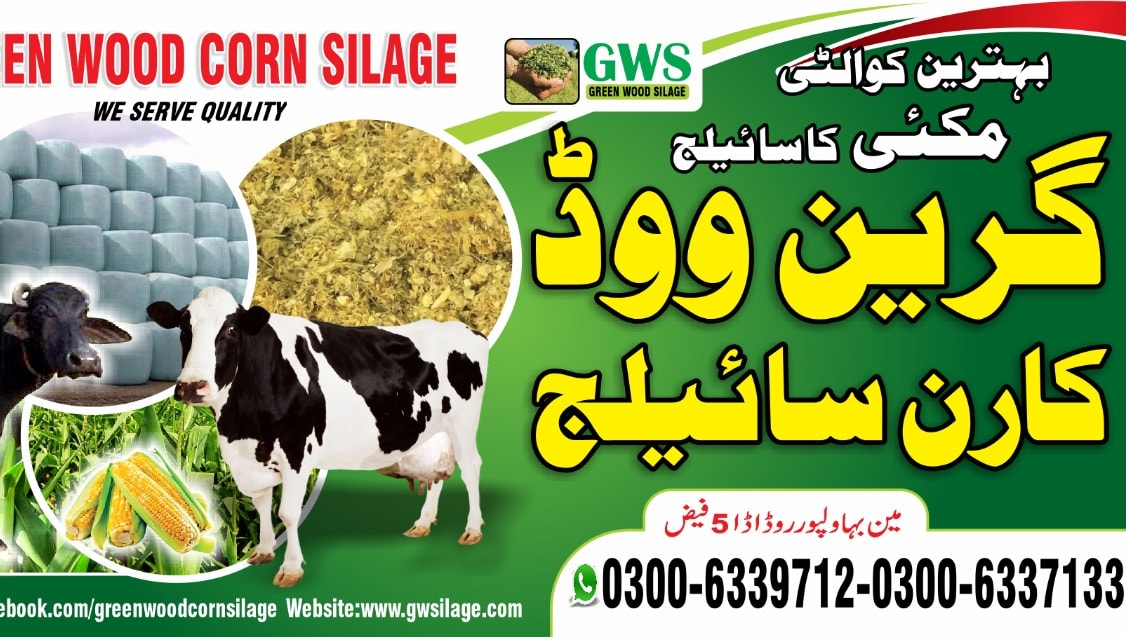 Green wood Silage