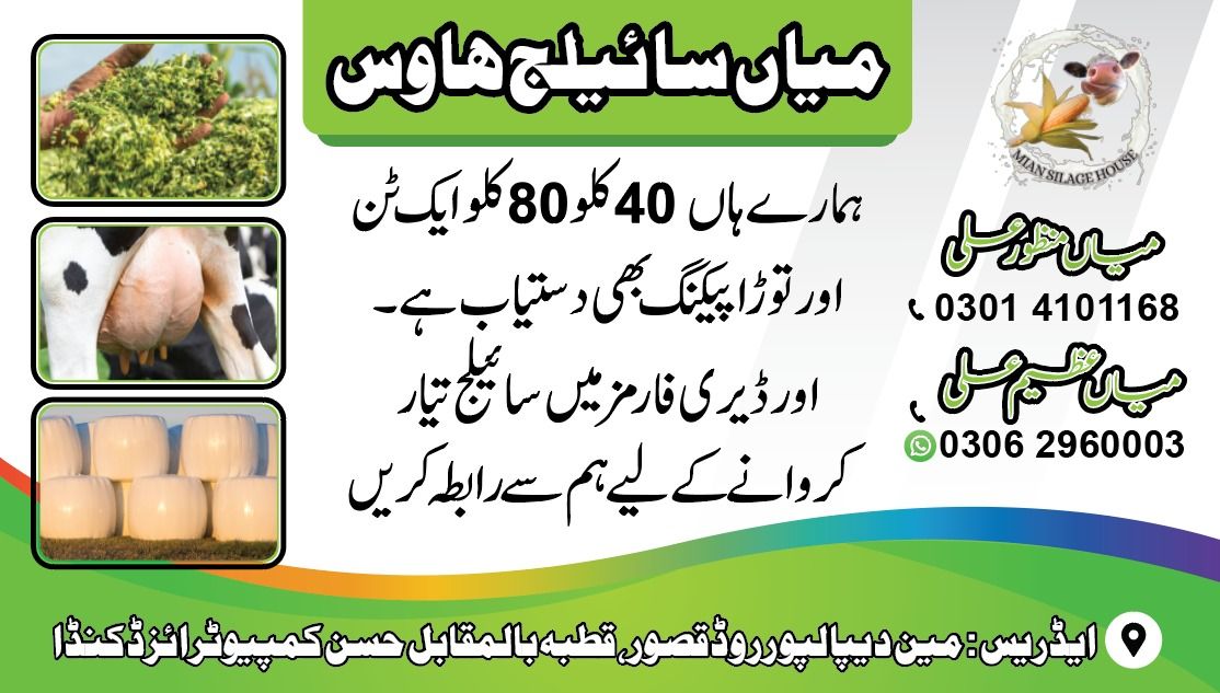 MIAN Silage