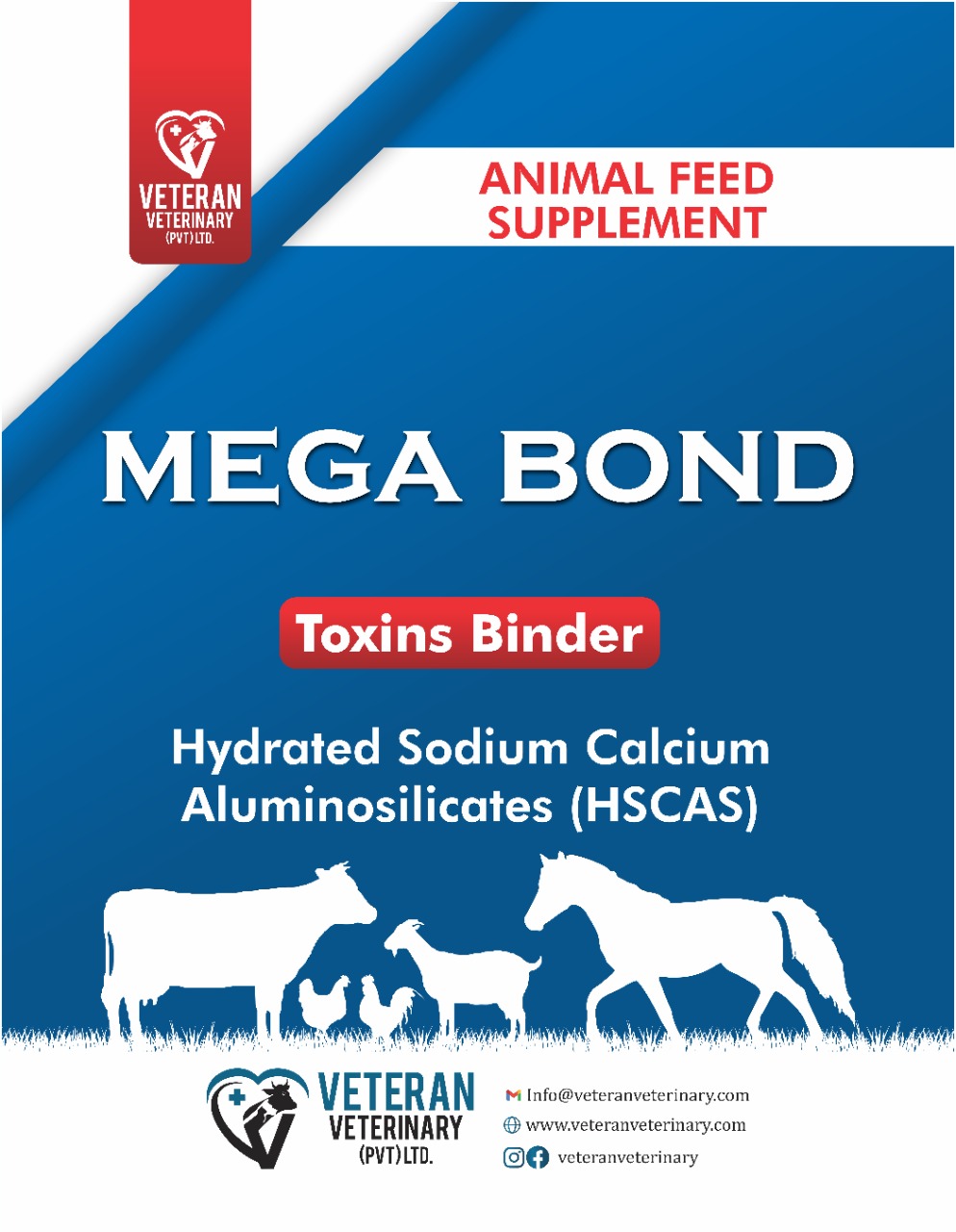 Megabond (Mycotoxin Binders)
