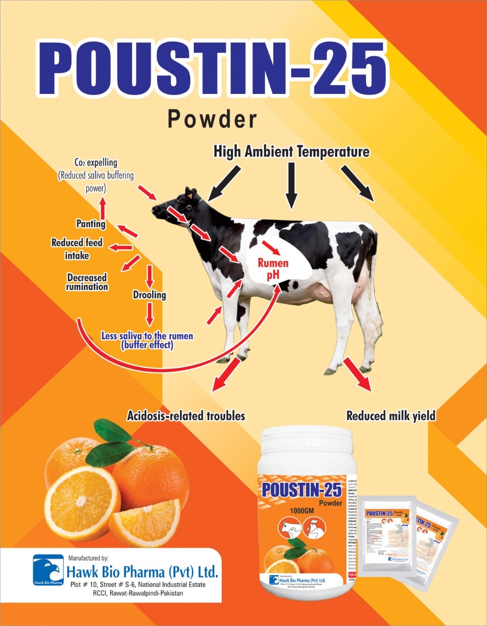 Poustin 25 
