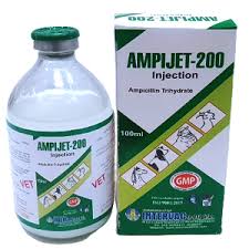 AMPIJET-200 INJECTION