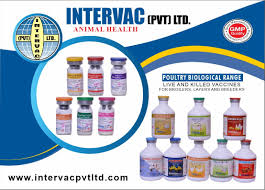 INTERVAC-20 INJECTION