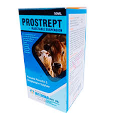 PROSTREPT INJECTABLE SUSPENSION