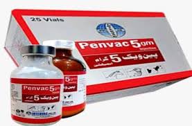 Penvac 2.5 gm Injection