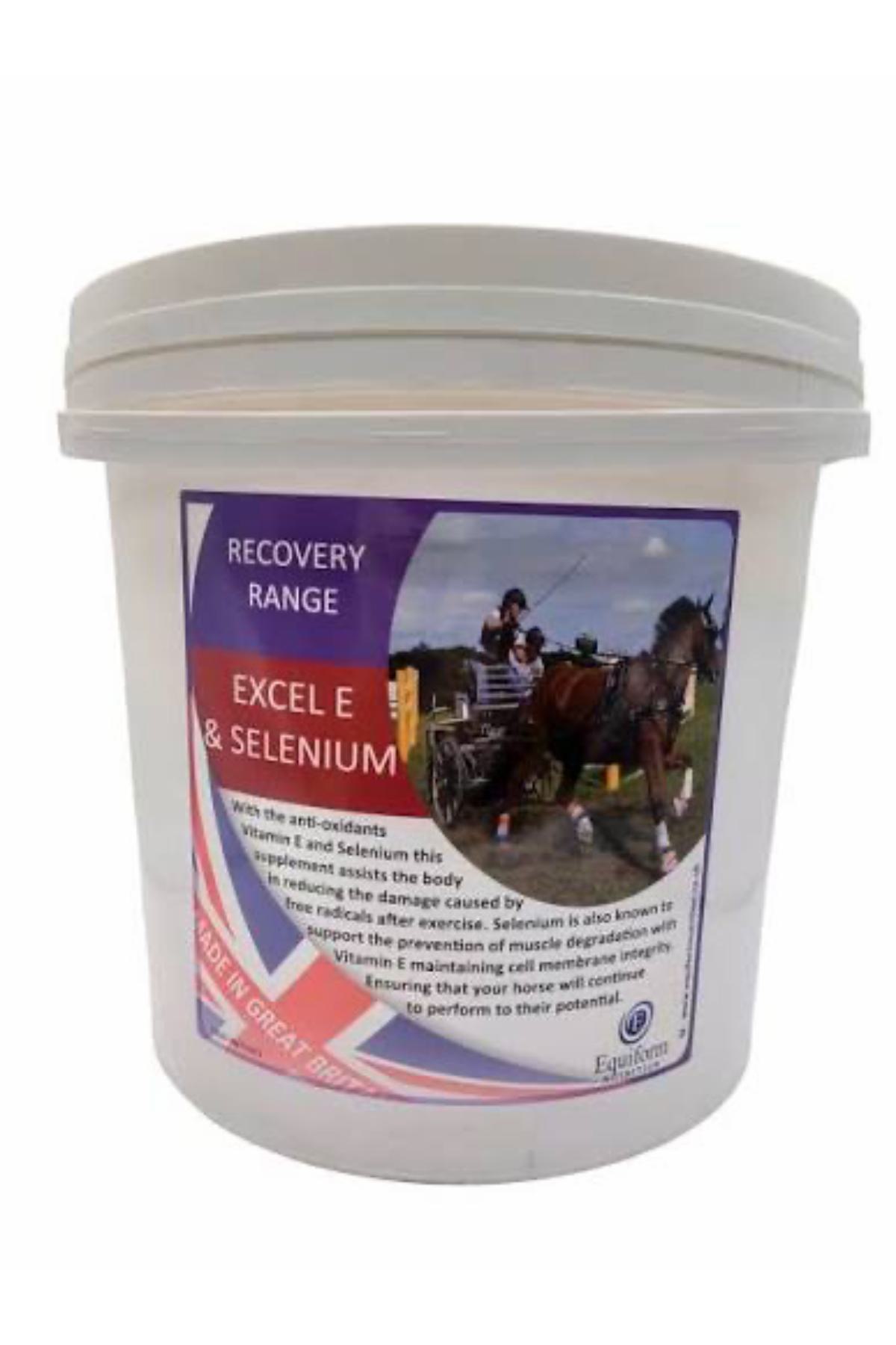 Excel E and Selenium