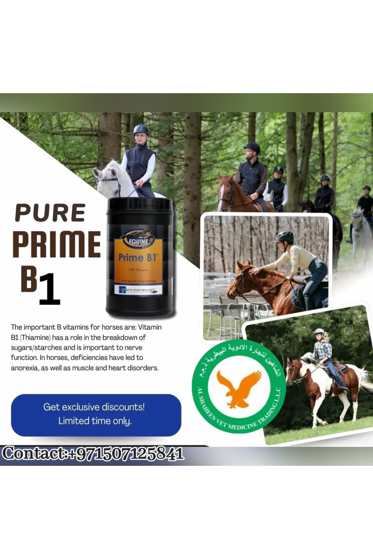 Prime B1