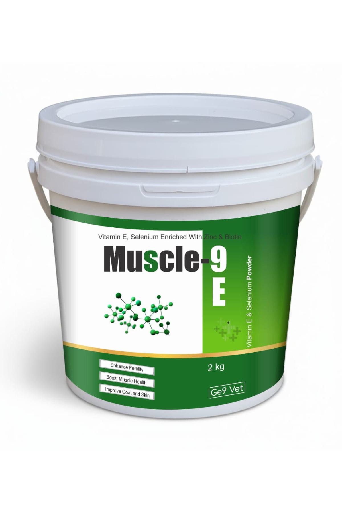 Muscle 9E