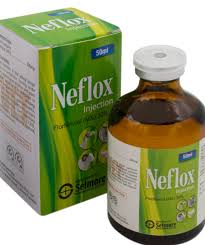 Neflox 50ml