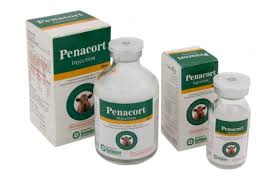 Penacort inj 10ml