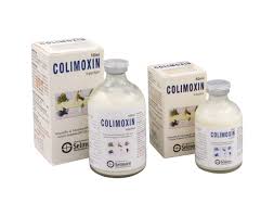 Colimoxin