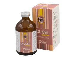 Colisel