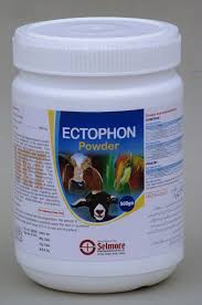 Ectophon