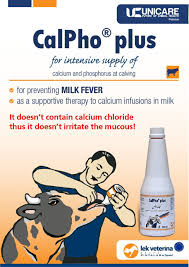 Calpho-P