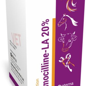 Amoxicillin 20%
