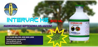 INTERVAC-H.S (OIL BASE)