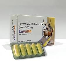 Leva 300 Bolus