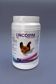 Lincosym