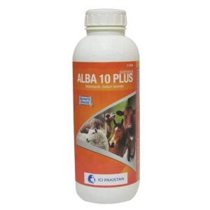 Alba 10