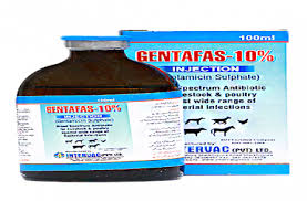 GENTAFAS 10% INJECTION