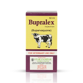 Bupralex Injection 50 ml