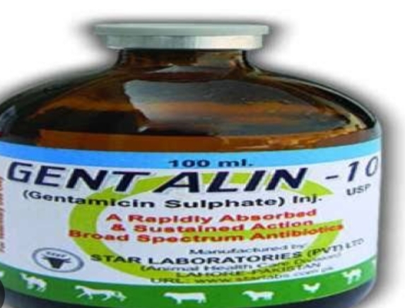 Gentalin-10 Injection