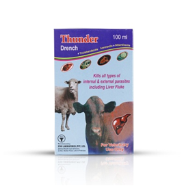 Thunder Drench