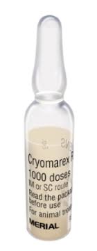 Cryomarex + HVT