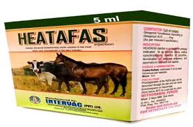Heatafas Injection