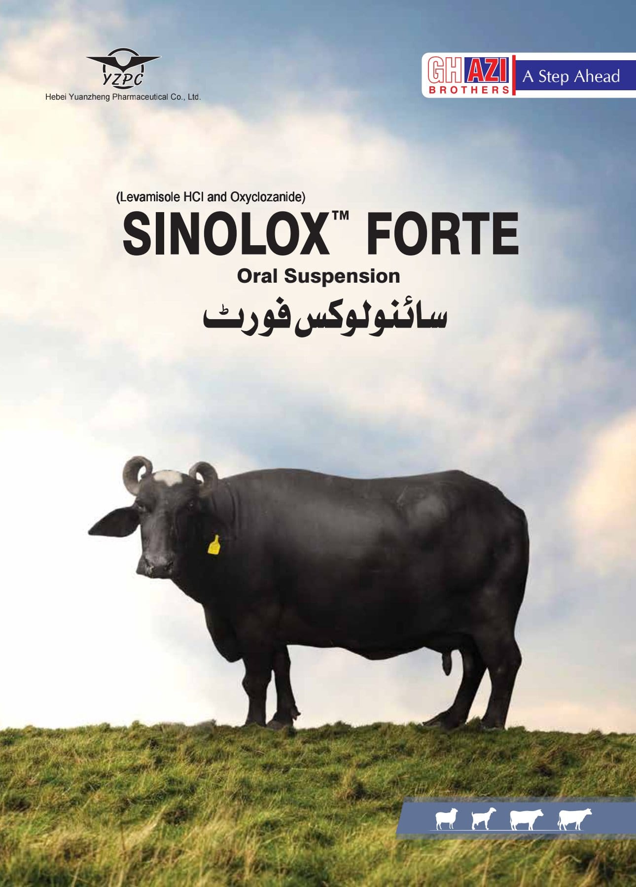 Sinolox Forte
