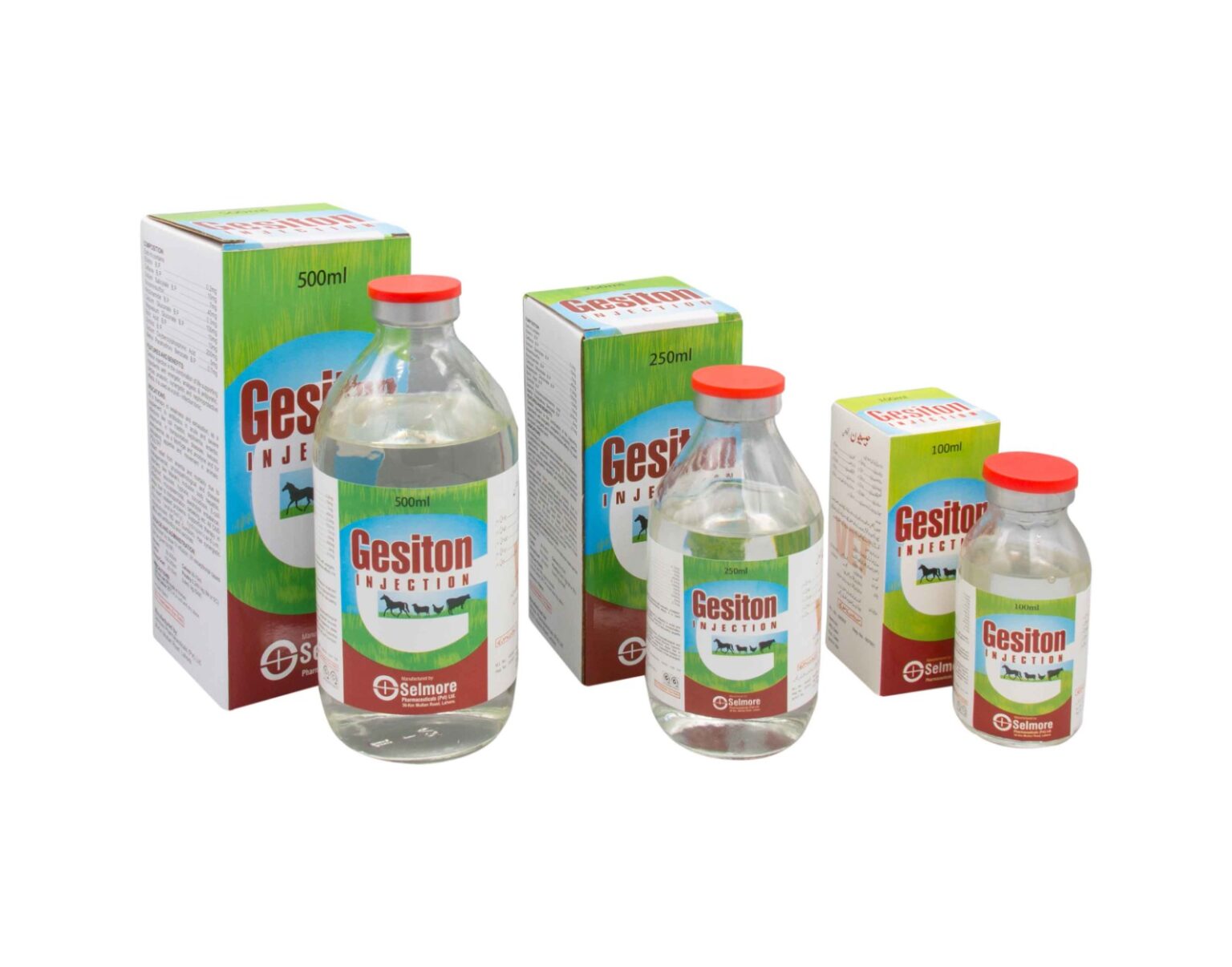 Gesiton Injection