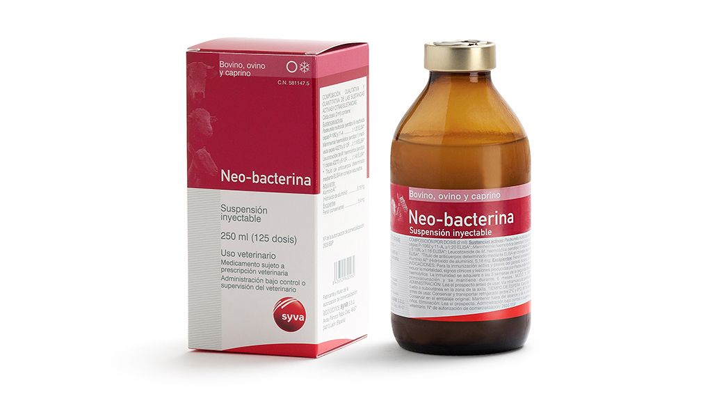 HSV Neobacterina