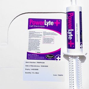 Power Lyte