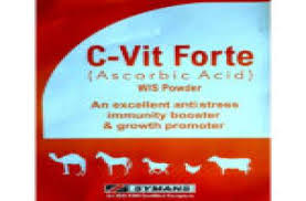 C Vit Forte ΘêÑ∩┐╜100ml